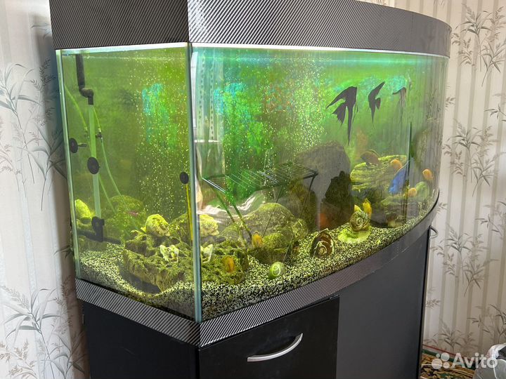 Аквариум с тумбой