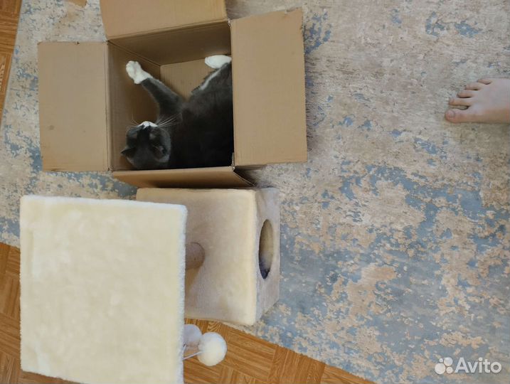 Домик когтеточка