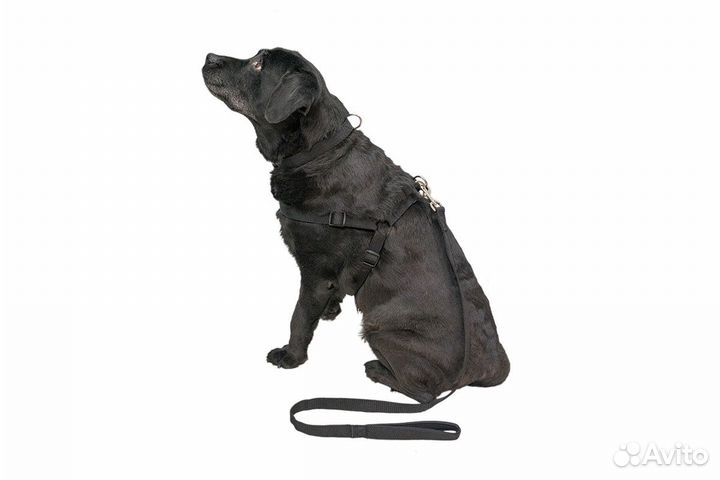 Yami Yami амуниция шлейка 