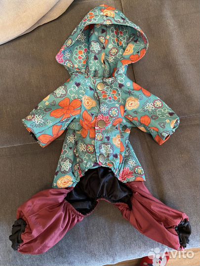 Дождевик для маленьких собак