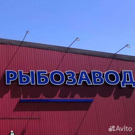 Водитель экспедитор на Газель рефрежератор