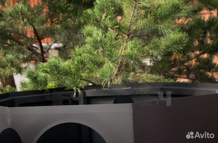 Банный чан от производителя. Купель