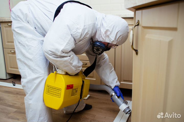 Уничтожение тараканов клопов плесени Дезинфекция