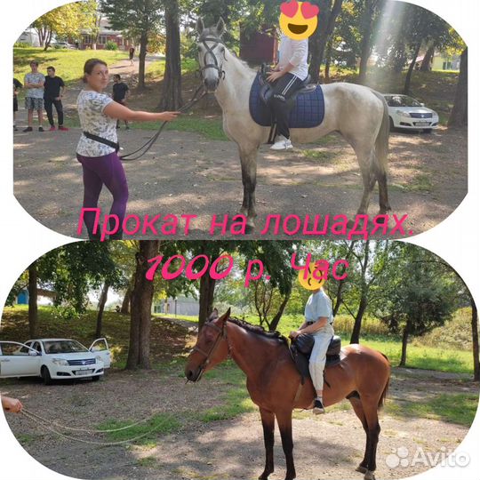 Прокат. Постой. Аренда. Фотографии