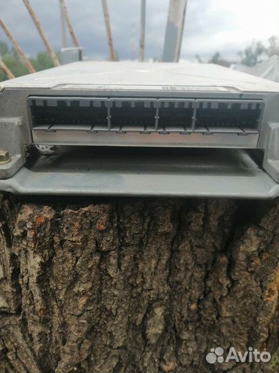 Xonda ascot Блок управления двигателем G20A