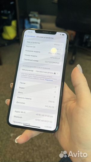 iPhone Xs Max, 256 ГБ