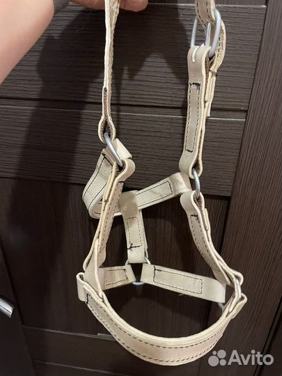 Подпруга, недоуздок, сапоги