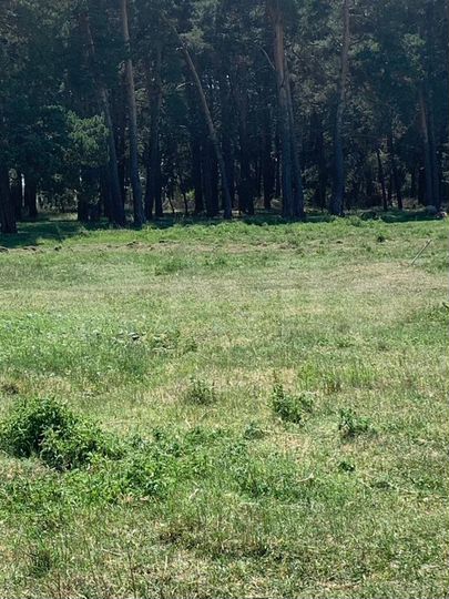 Участок 6 сот. (ИЖС)