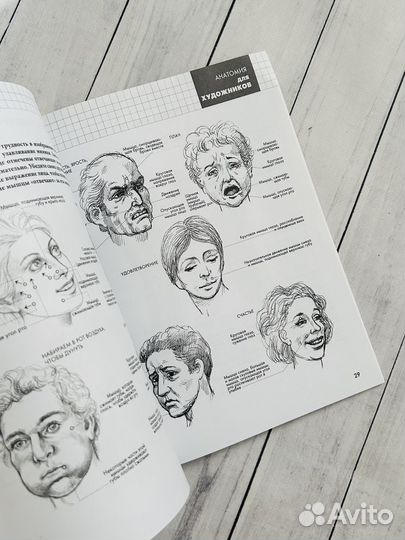 Анатомия для художников