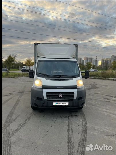 FIAT Ducato 2.3 МТ, 2014, 294 000 км