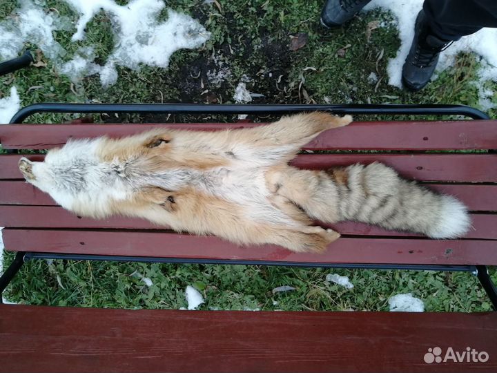 Шкуры лисы и чернобурки