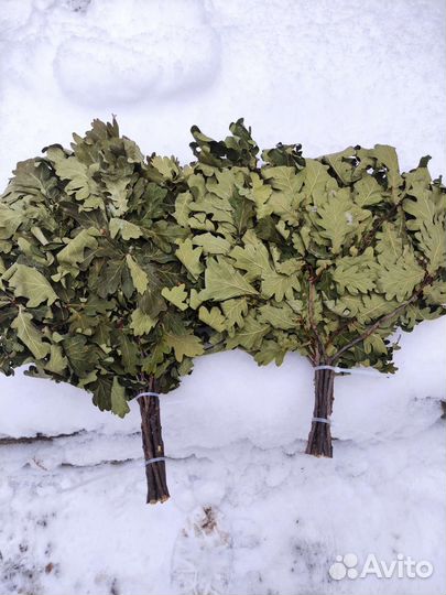 Веники для бани