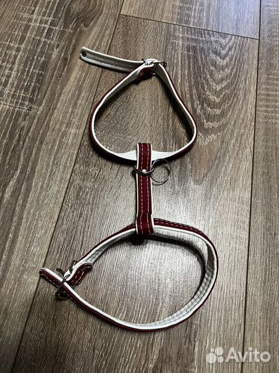 Ошейник для кошек