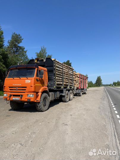 КамАЗ 43118, 2019