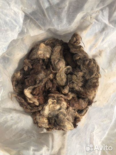 Шерсть овечья, натуральная