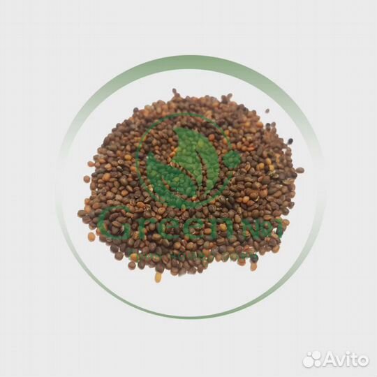 Семена весовые микрозелень