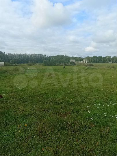 Участок 10 сот. (ИЖС)