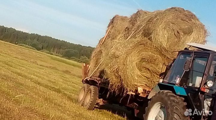 Сено луговое 300-кг