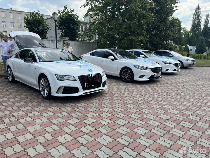 Катаю свадьбы