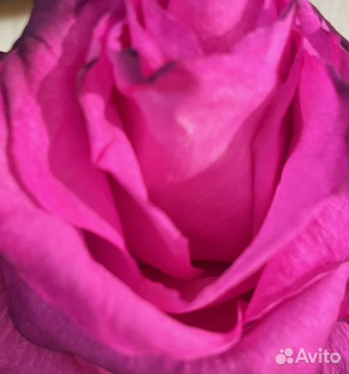 Посылка для Ирины