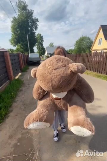 Большой плюшевый медведь