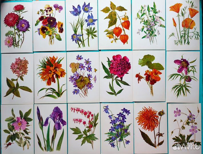 Открытки ботанические цветы, грибы, птицы