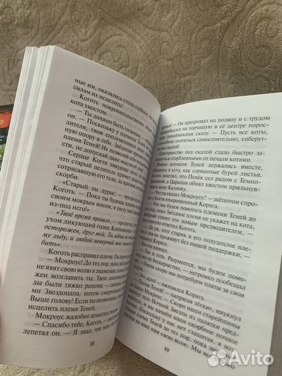 Книги коты воители история остролистой