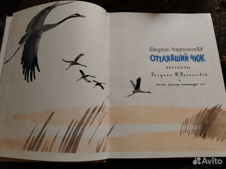 Оттаявший чиж Вадим Чернышев