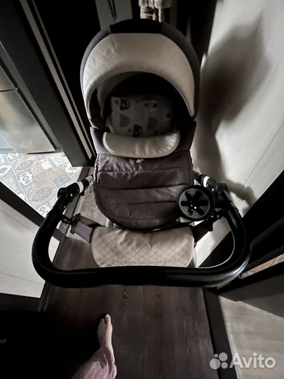 Коляска адамекс