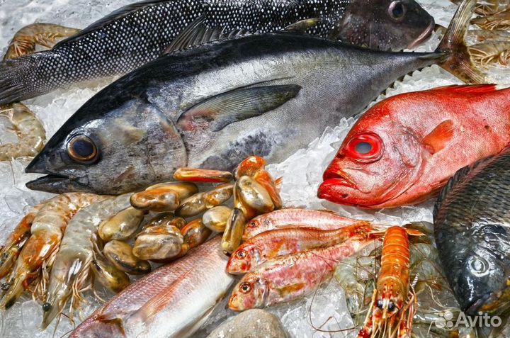 Купите готовый бизнес с премиальной рыбой