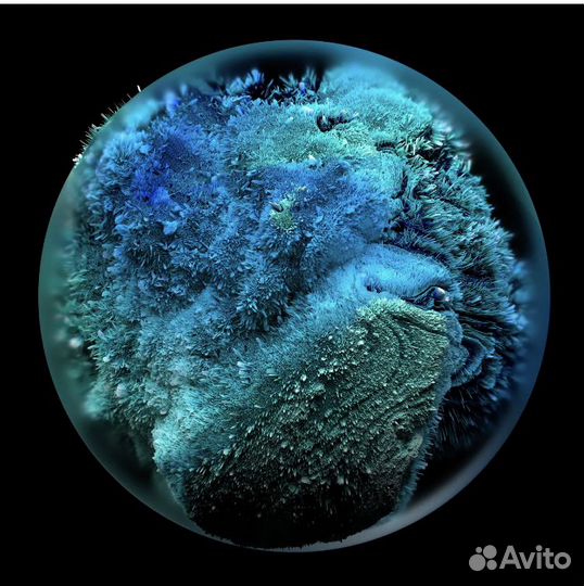 Картина на стекле