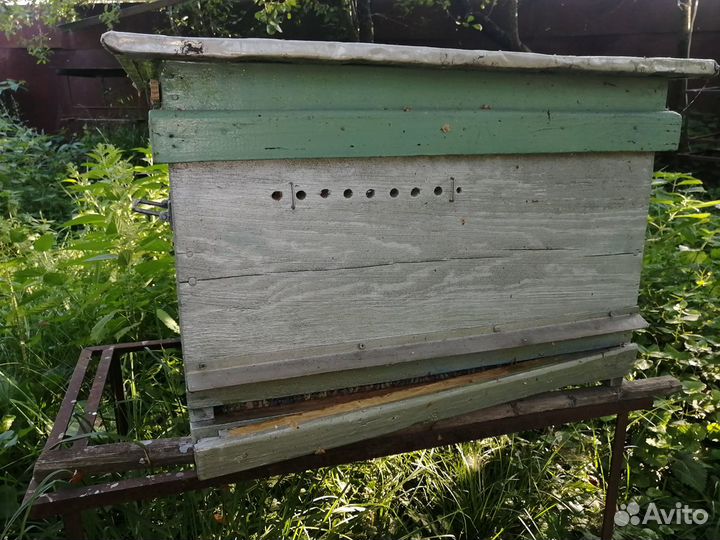 Улий для пчел