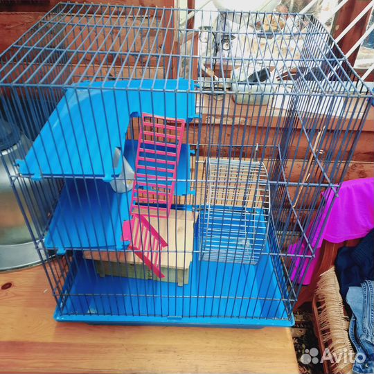 Клетка для сирийского хомячка