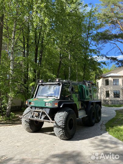 Охота: лось, кабан, косуля