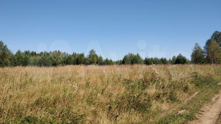 Участок 1,4 га (СНТ, ДНП)