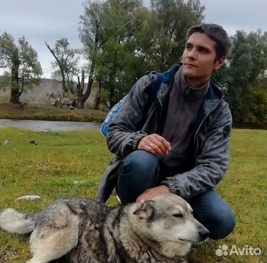 Кинолог