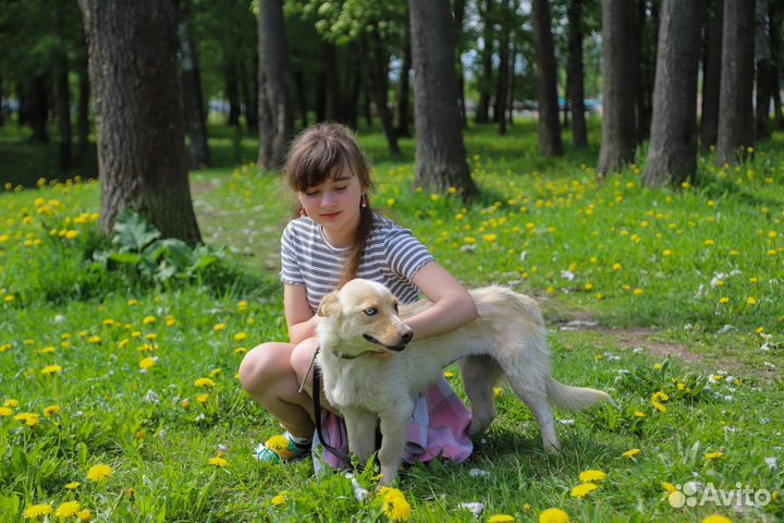 Малышка с разными глазами