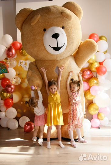 Студия праздников