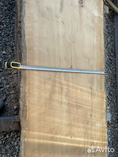 Слэб кедровый