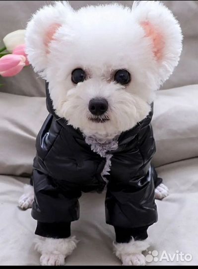 Комбинезон для собаки