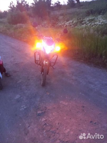Продам альфу