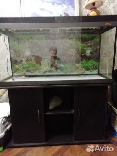 Аквариум бу с тумбой
