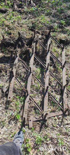 Борона зубовая