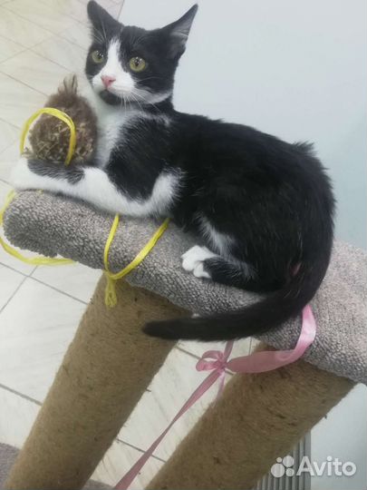 Очаровательная крошка ждёт Вас