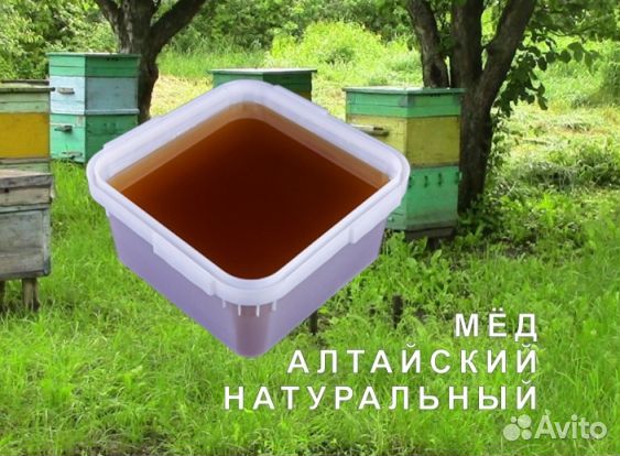 Мед натуральный из Алтая опт