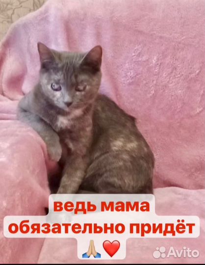 Ласковый ангелочек Верочка