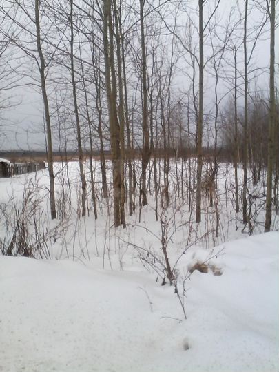 Участок 9 сот. (ИЖС)