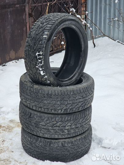 Tigar Winter 215/50 R17 95V