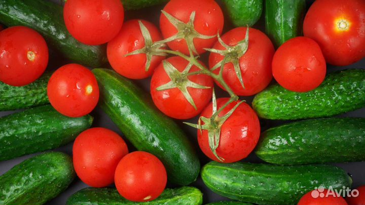 Рабочий в теплицу вахта с проживанием г.Воронеж