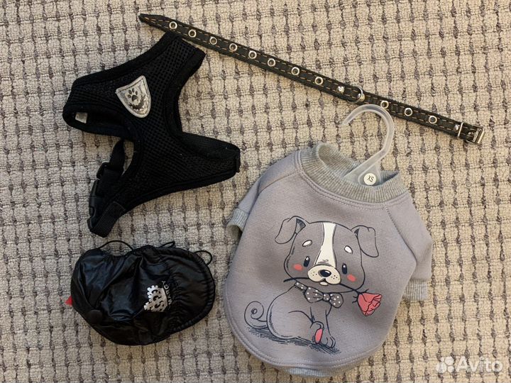 Свитер, шлейка, ошейник, кепка для собак